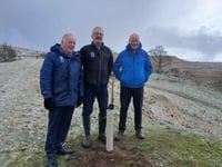 Sycamore Gap sapling planted in Eryri to honour iconic landmark