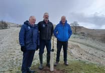 Sycamore Gap sapling planted in Eryri to honour iconic landmark