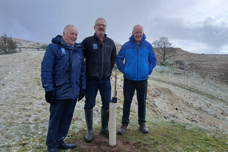 Park Chair Edgar Wyn Owen, Vice Chair Ifor Glyn Lloyd and member Elfed Roberts at the Sycamore Gap sapling planting at Yr Ysgwrn. Photo: Dale Spridgeon