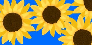Calendar Girls musical casting call at Aberystwyth Arts Centre