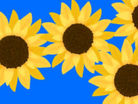 Calendar Girls musical casting call at Aberystwyth Arts Centre