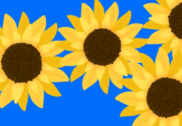 Calendar Girls musical casting call at Aberystwyth Arts Centre