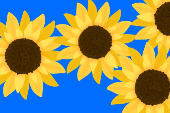 Calendar Girls the Musical has been chosen as this year's Arts Centre summer season show