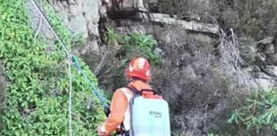 Workers scale Gwynedd cliffs to remove rhododendrons
