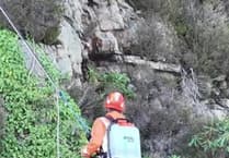 Braving cliffs to save Gwynedd's heathland habitat