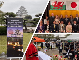 'If Gwynedd doesn't want them, we'll have them here...'
