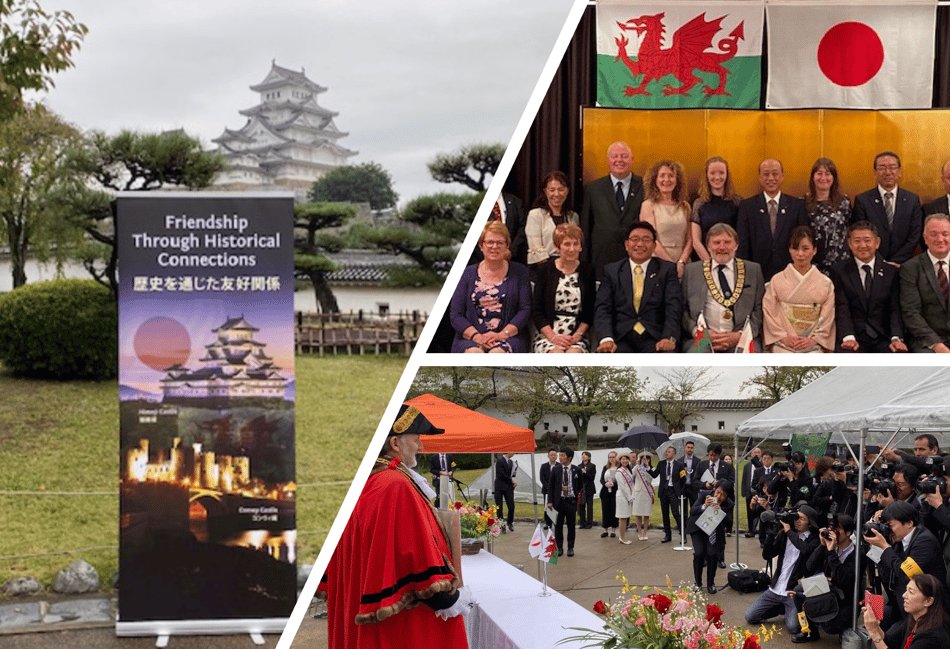 'If Gwynedd doesn't want them, we'll have them here...'
