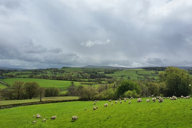 FUW welcomes new tenant farmer code