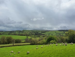 FUW welcomes new tenant farmer code