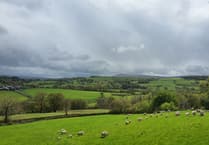 FUW welcomes new tenant farmer code