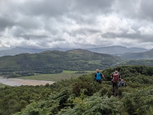 Woodland partnership launched to protect Mawddach’s rare rainforest