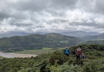 Woodland partnership launched to protect Mawddach’s rare rainforest