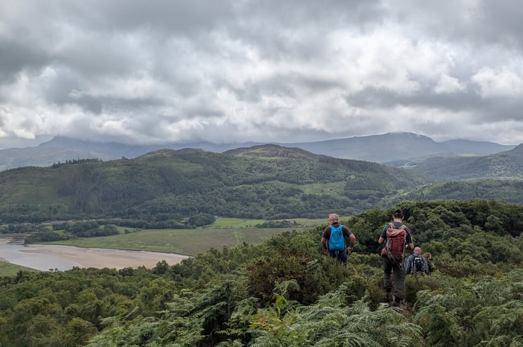 RSPB Coed garth gell reserve. Photo: Jade Phillips