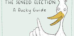 Waddle you vote for? Duck art campaign breaks down the Senedd election
