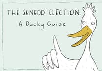 Waddle you vote for? Duck art campaign breaks down the Senedd election