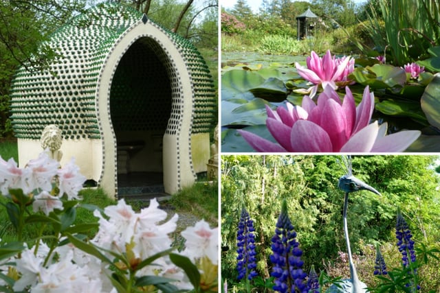 Ceredigion couple's garden transforms bleak land into charity success