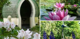 Ceredigion couple's garden transforms bleak land into charity success