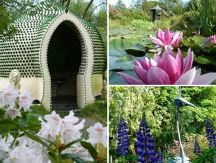 Ceredigion couple's garden transforms bleak land into charity success