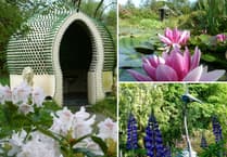 Ceredigion couple's garden transforms bleak land into charity success