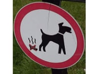 Tywyn Town Council urges dog owners to clean up after pets