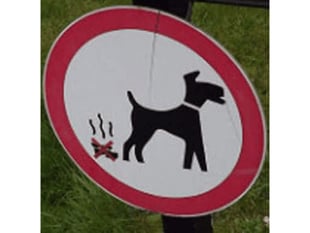 Tywyn Town Council urges dog owners to clean up after pets