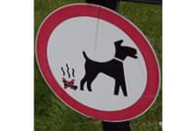 Dog fouling concern in Tywyn