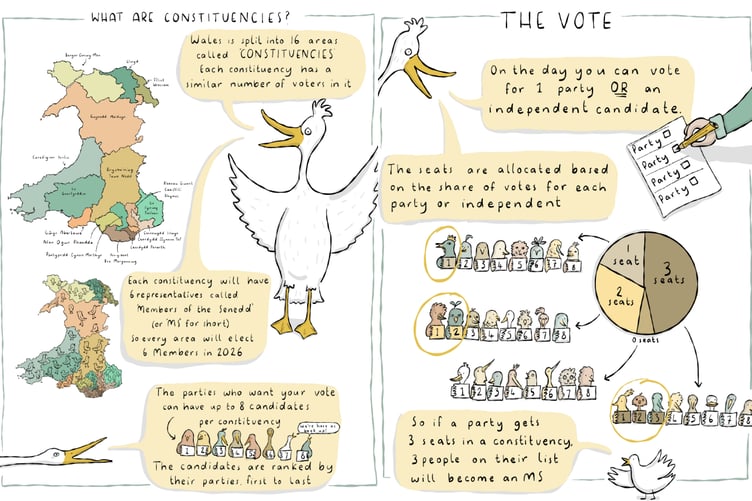 The voting system has changed, merging constituencies and adding more Senedd members. Maia Thomas explains how the new voting system will work using her ducks.