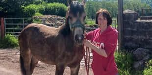 Half with MS in Wales judged for facility use