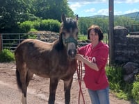Half with MS in Wales judged for facility use
