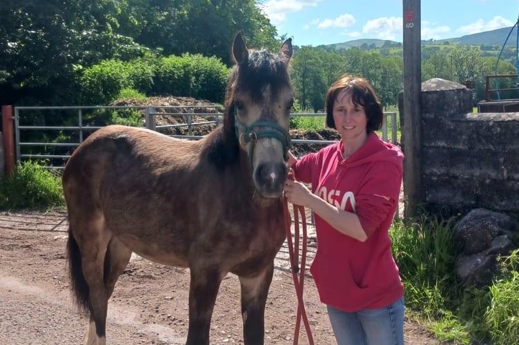 Gemma Williams is 48 and lives on a sheep farm in Carmarthenshire with her husband and two children. She was diagnosed with MS at 21