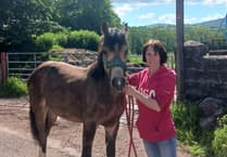 Half of people with MS in Wales face judgement using accessible facilities