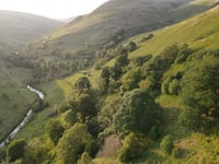Rewilding charity raises £100,000 for Ceredigion project