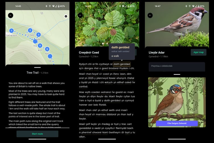 The app takes users along different trails with audio guides, a click-to-translate system, and bird and tree identification.