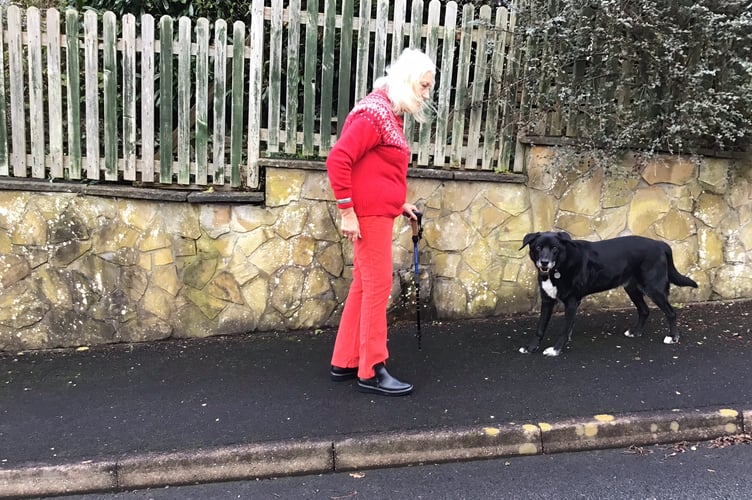 Carol Handcock is now unable to walk her dog, Charley Farley, living up a steep hill in Machynlleth. She will wait over two years for her hip surgery scheduled for June. Photo: Carol Handcock
