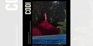 New exhibition by Multiplicity Collective ready to open in Machynlleth