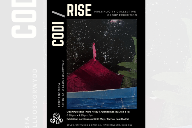 ‘CODI’ / ‘RISE’ has been organised by the Multiplicity Collective. Flyer artwork by Elena Tayo