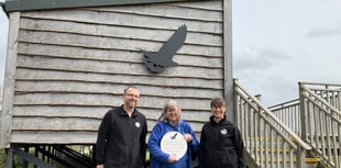 New osprey artwork arrives at Glaslyn