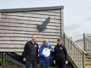 New osprey artwork arrives at Glaslyn