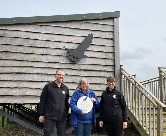 New osprey artwork arrives at Glaslyn
