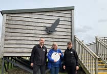 New osprey artwork arrives at Glaslyn