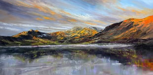 Cardigan artists explore landscapes in interconnected exhibitions