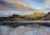 Cardigan artists explore landscapes in captivating exhibitions