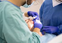 Plaid urged to tackle abysmal NHS dentistry in Wales