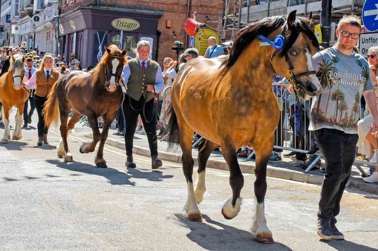 Horses parade along the High Street