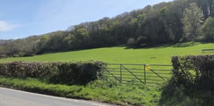 'No urgent need' for homes on Llanilar farmland