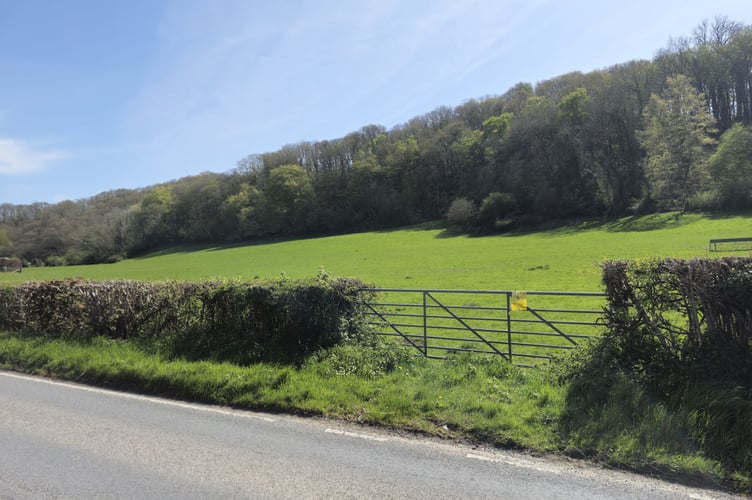 Site of the proposed development on land East of Tanrallt Farm, Llanilar