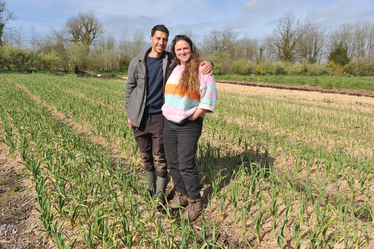 Farm trial demonstrates potential for 'micro-diversification' visual