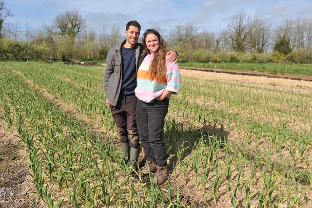 Farm trial demonstrates potential for 'micro-diversification'
