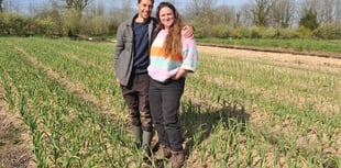 Farm trial demonstrates potential for 'micro-diversification'