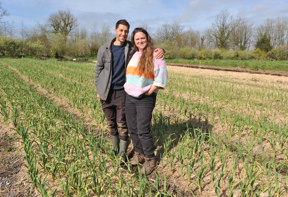 Farm trial demonstrates potential for 'micro-diversification'